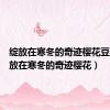 绽放在寒冬的奇迹樱花豆瓣（绽放在寒冬的奇迹樱花）