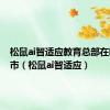松鼠ai智适应教育总部在哪个城市（松鼠ai智适应）