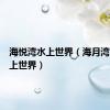 海悦湾水上世界（海月湾欢乐水上世界）