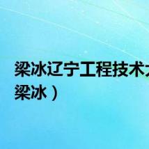 梁冰辽宁工程技术大学（梁冰）
