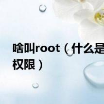 啥叫root（什么是root权限）
