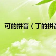 可的拼音（丁的拼音）