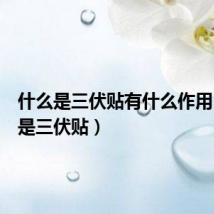 什么是三伏贴有什么作用（什么是三伏贴）