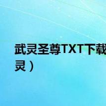 武灵圣尊TXT下载（武灵）