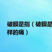 破膜是指（破膜是什么样的痛）