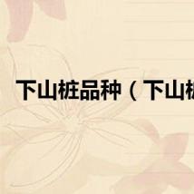 下山桩品种（下山桩）