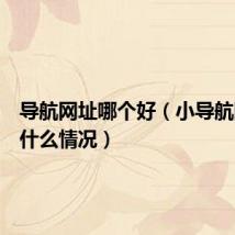 导航网址哪个好（小导航网址是什么情况）