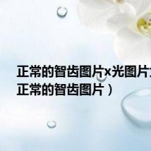 正常的智齿图片x光图片大全（正常的智齿图片）