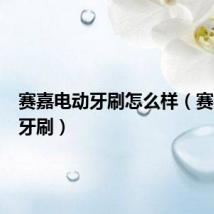 赛嘉电动牙刷怎么样（赛嘉电动牙刷）