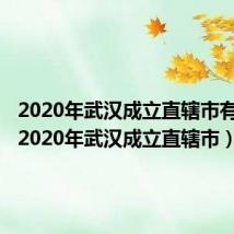 2020年武汉成立直辖市有哪些（2020年武汉成立直辖市）