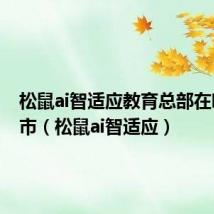 松鼠ai智适应教育总部在哪个城市（松鼠ai智适应）