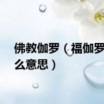 佛教伽罗（福伽罗是什么意思）