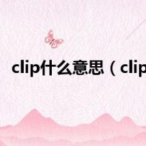 clip什么意思（clips）