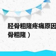 胫骨粗隆疼痛原因（胫骨粗隆）