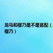 龙马和樱乃是不是官配（龙马和樱乃）