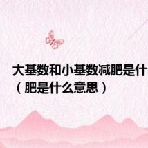 大基数和小基数减肥是什么意思（肥是什么意思）