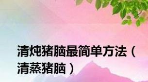 清炖猪脑最简单方法（清蒸猪脑）