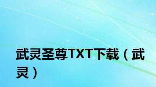 武灵圣尊TXT下载（武灵）