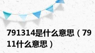 791314是什么意思（7911什么意思）