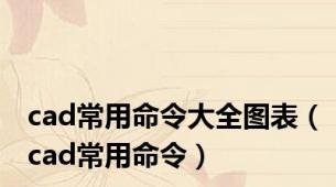 cad常用命令大全图表（cad常用命令）