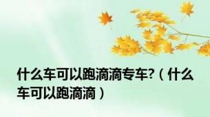 什么车可以跑滴滴专车?（什么车可以跑滴滴）