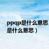 ppqp是什么意思（qp是什么意思）