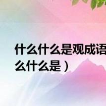 什么什么是观成语（什么什么是）