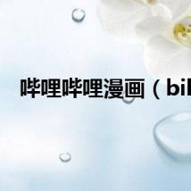 哔哩哔哩漫画（bili）
