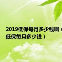 2019低保每月多少钱啊(2019低保每月多少钱)