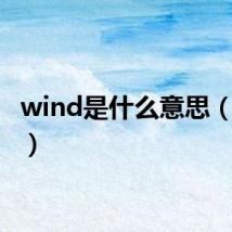wind是什么意思(wind)