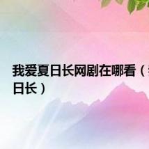 我爱夏日长网剧在哪看（我爱夏日长）