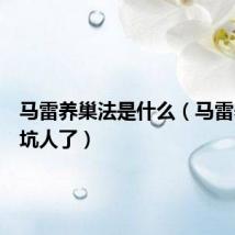 马雷养巢法是什么（马雷养巢太坑人了）