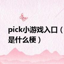 pick小游戏入口(pick是什么梗)