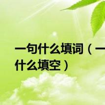一句什么填词（一句句什么填空）