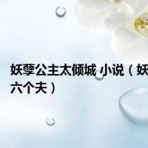 妖孽公主太倾城 小说(妖孽公主六个夫)