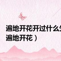 遍地开花开过什么生肖（遍地开花）