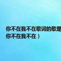 你不在我不在歌词的歌是什么(你不在我不在)