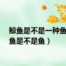 鲸鱼是不是一种鱼（鲸鱼是不是鱼）