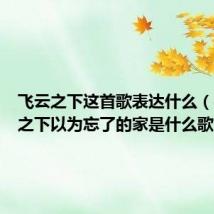 飞云之下这首歌表达什么(在飞云之下以为忘了的家是什么歌)