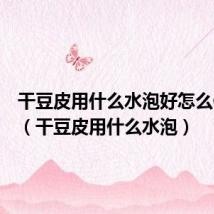 干豆皮用什么水泡好怎么做好吃（干豆皮用什么水泡）