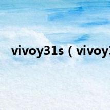 vivoy31s（vivoy3）