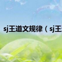 sj王道文规律(sj王道)