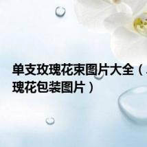 单支玫瑰花束图片大全(单支玫瑰花包装图片)