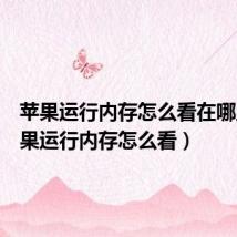 苹果运行内存怎么看在哪里(苹果运行内存怎么看)
