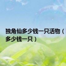 独角仙多少钱一只活物（独角仙多少钱一只）