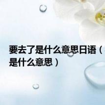 要去了是什么意思日语（要去了是什么意思）