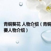 青铜葵花 人物介绍（青铜葵花主要人物介绍）