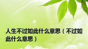 人生不过如此什么意思（不过如此什么意思）