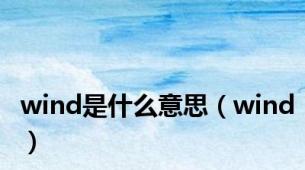 wind是什么意思（wind）