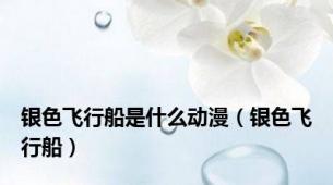 银色飞行船是什么动漫（银色飞行船）